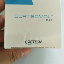 Thuốc hàn ống tủy Cortisomol