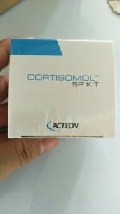 Thuốc hàn ống tủy Cortisomol